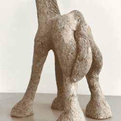 S_AA_001_d Alikhan Abdolahi - Giraffe (baby)