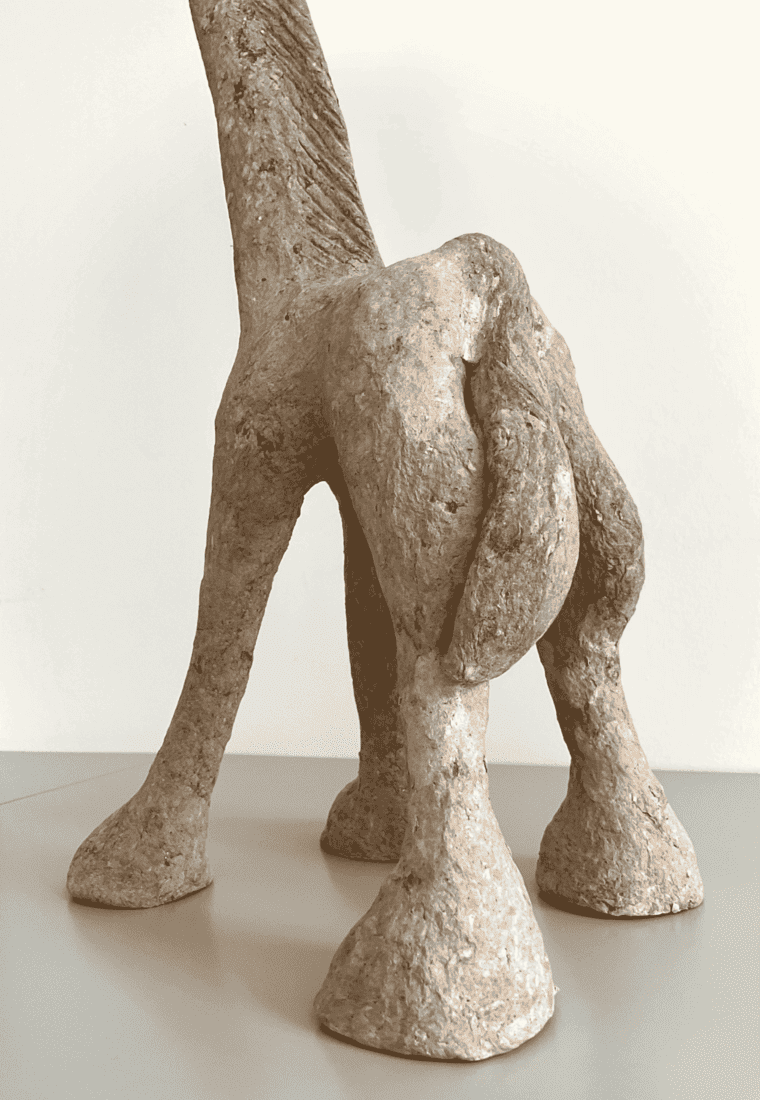 S_AA_001_d Alikhan Abdolahi - Giraffe (baby)